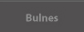 newsilens bulnes
